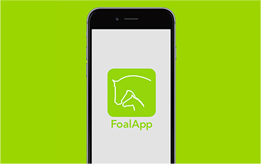 FOAL APP LAUNCH